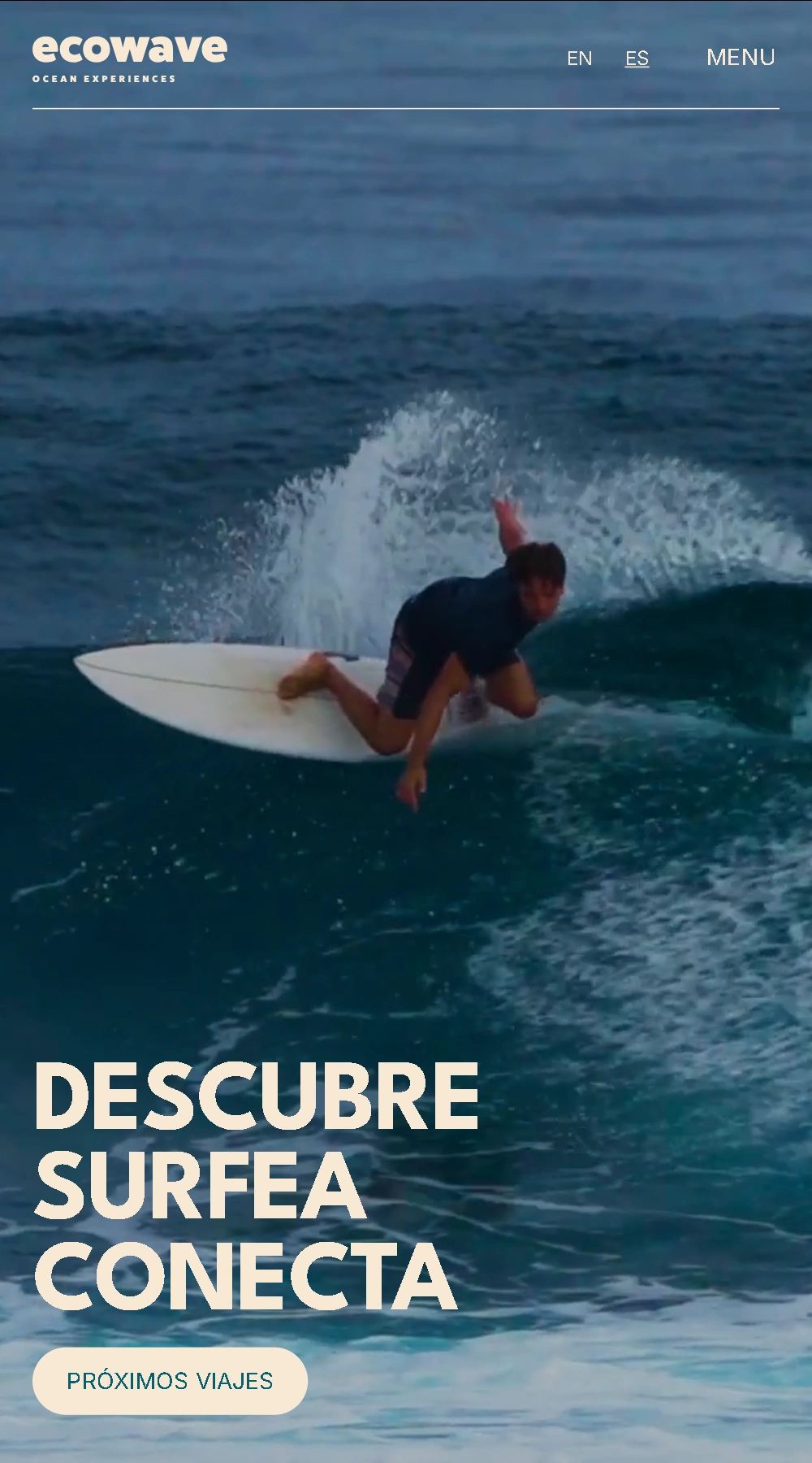 Captura de la web de Ecowave Trips en móvil